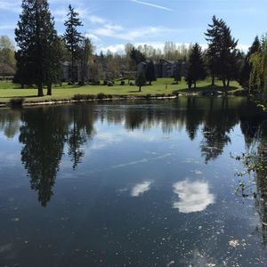 Meet your Posher, Hyungbae