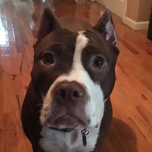 Meet your Posher, Ronald