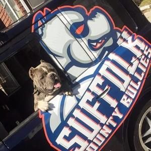 Meet your Posher, Mike