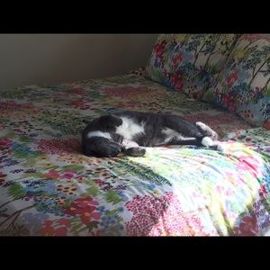 Meet your Posher, Renee