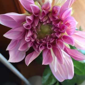 Meet your Posher, Kevin