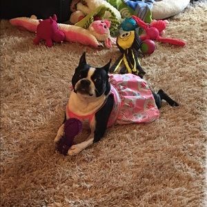 Meet your Posher, Silver