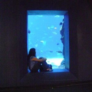 Meet your Posher, Aline