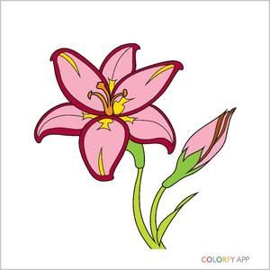 Meet your Posher, Ginger