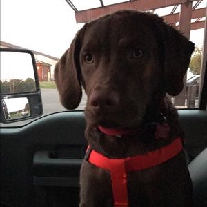 Meet your Posher, Matthew