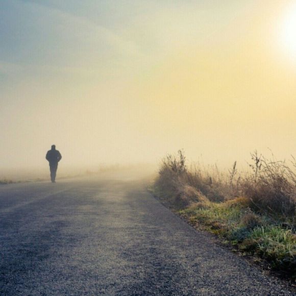 Meet your Posher, Connor - Picture 1 of 1