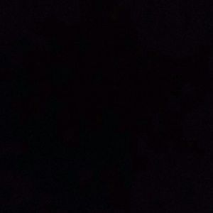 Meet your Posher, Minnie