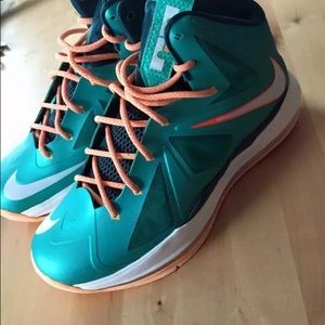 Nike Lebron X 10 dolphins