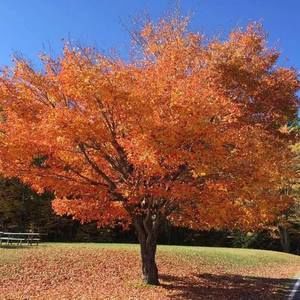 Meet your Posher, Barb