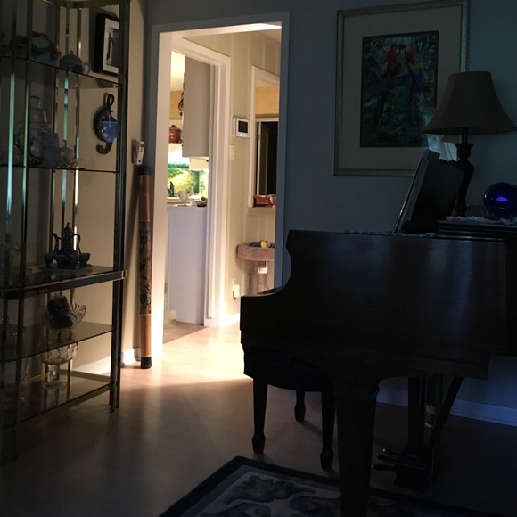 Meet your Posher, David - Picture 1 of 1