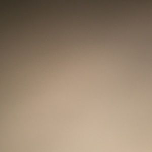 Meet your Posher, Jalen