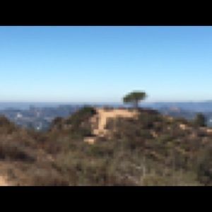 Meet your Posher, Pam