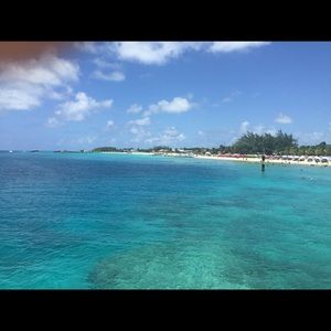 Meet your Posher, Dorothy