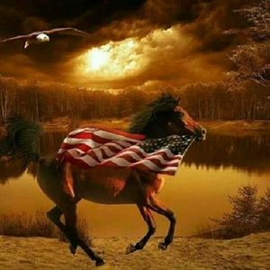 Meet your Posher, Wayne