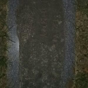 Meet your Posher, Johnny