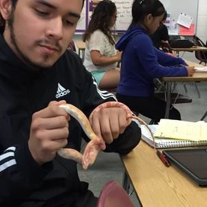 Meet your Posher, Jesus