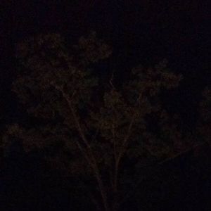 Meet your Posher, Wells