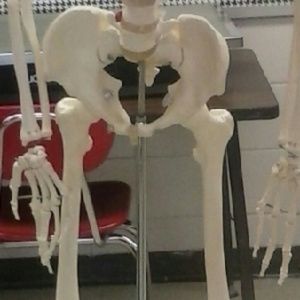 Meet your Posher, Charlsey