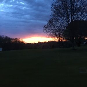 Meet your Posher, Molly