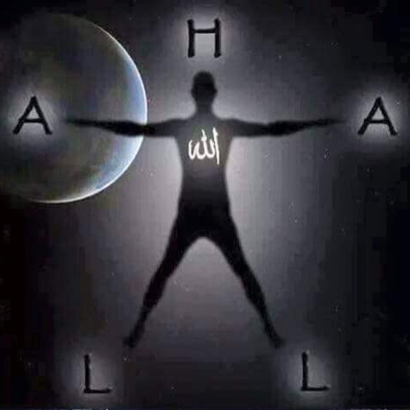 Meet your Posher, Antonio - Picture 1 of 1