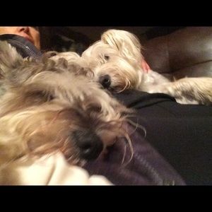 Meet your Posher, Adriana