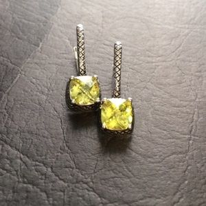 💚Premier Design Earrings 💚