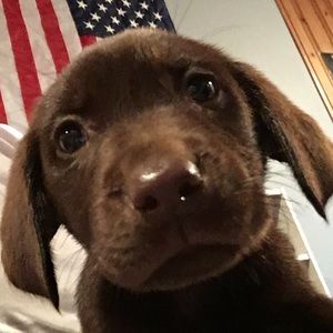 Meet your Posher, Kris