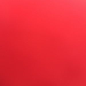 Meet your Posher, Daphne