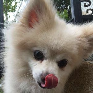 Meet your Posher, Edward