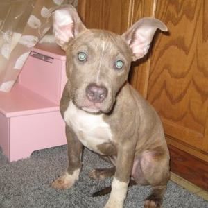 Meet your Posher, Eva