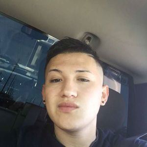 Meet your Posher, Leonardo