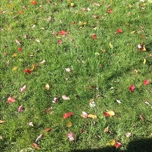 Meet your Posher, Liel