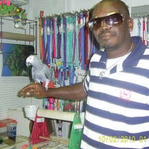 Meet your Posher, George