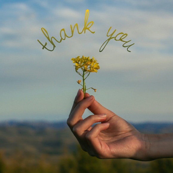 ... to everyone who shared the charity auctions!