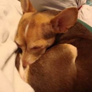 Meet your Posher, Brandy