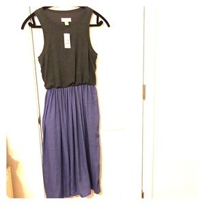 NWT Loft dress