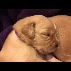 Meet your Posher, Katie