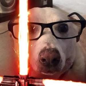 Meet your Posher, Shawn