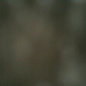 Meet your Posher, Javier