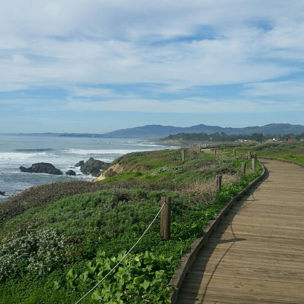 Meet your Posher, Sarai