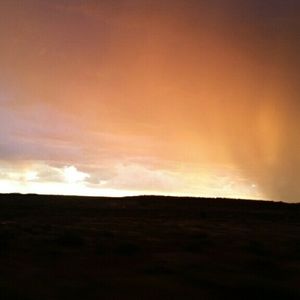 Meet your Posher, Tami