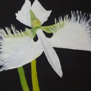 Meet your Posher, Linda