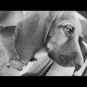 Meet your Posher, Aubrey