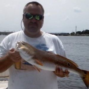 Meet your Posher, Steve