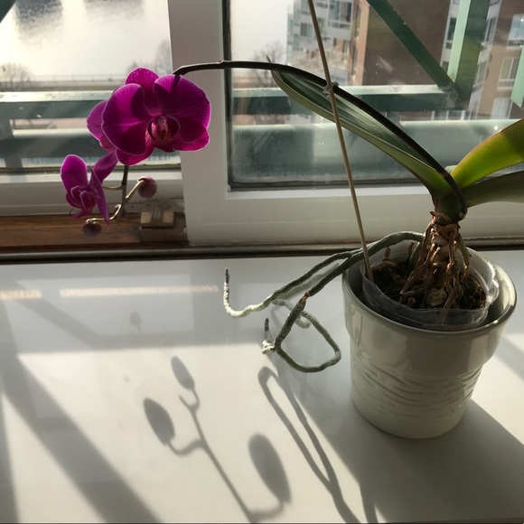 THANK YOU 116k!!🎉 Meet your Posher, Amz! - Picture 3 of 5