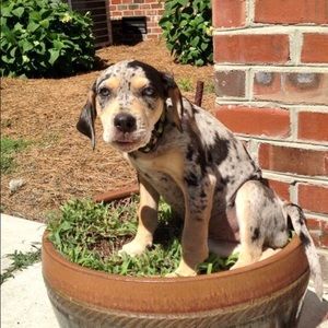 Meet your Posher, Erin