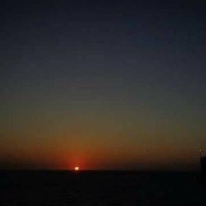 Meet your Posher, Adela