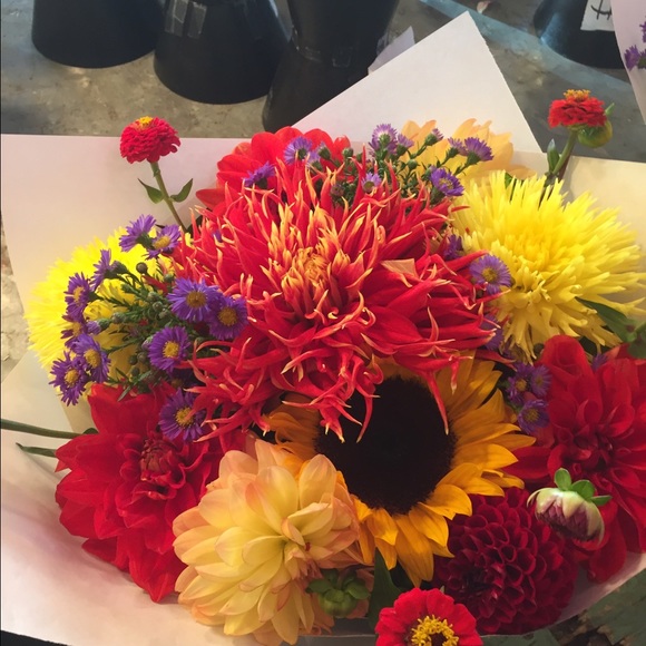 Meet your Posher, Cindy - Picture 1 of 1