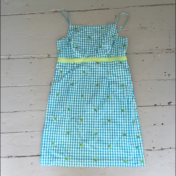 Super Cute Lilly Pulitzer Sundress