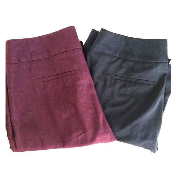 Classy dress pants